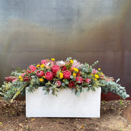 Seasonal Native Tribute - Image 2