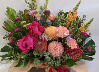Garden Boxes
