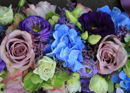Blues & Purple