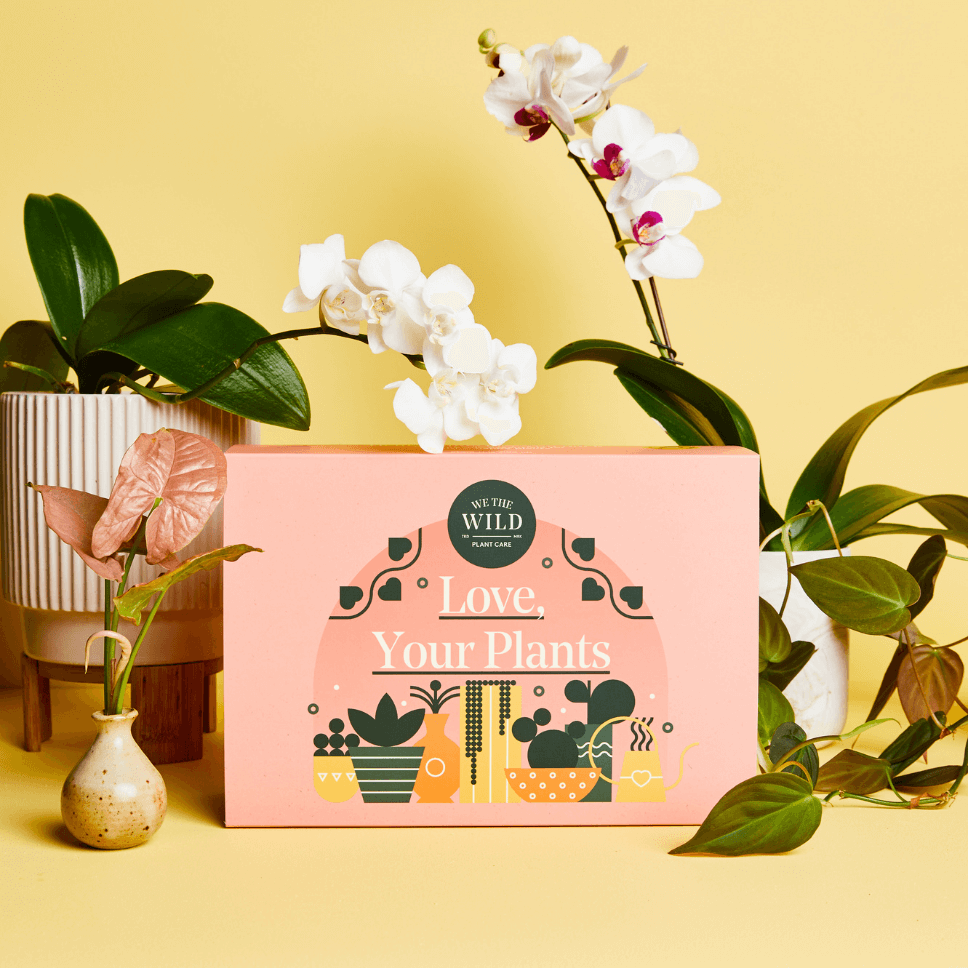 We The Wild <br> Gift Packs - Image 5